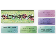 LE PETIT ORACLE DE GAIA