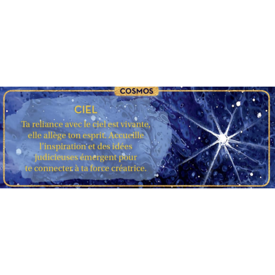 PETIT ORACLE DE L'INTUITION