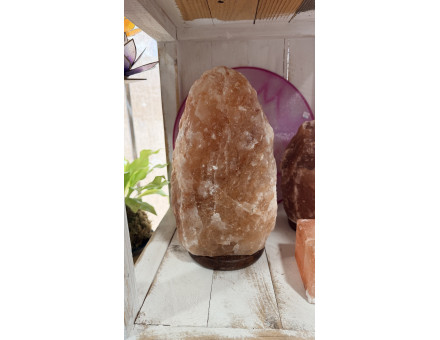 LAMPE DE SEL 29 CM - 6/10KG