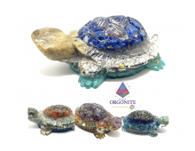 ORGONITE TORTUE