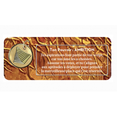 LE PETIT ORACLE DE LA MISSION D'ÂME