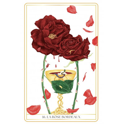 ORACLE DES ROSES MÉDECINE