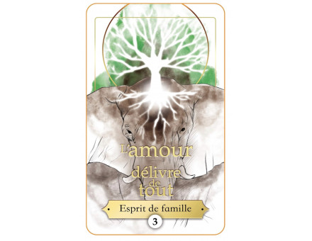 MESSAGES DE VOTRE ÂME SOEUR