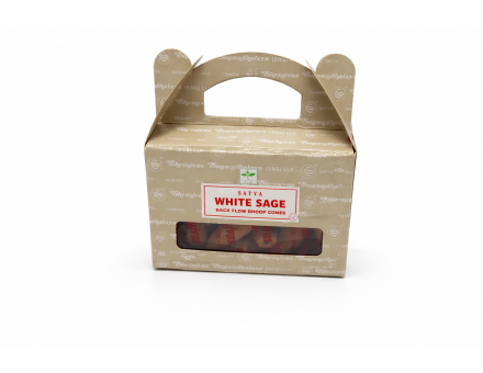 SAUGE - ENCENS À REFOULEMENT BACKFLOW