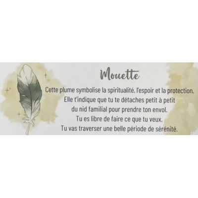 LE PETIT ORACLE DES PLUMES