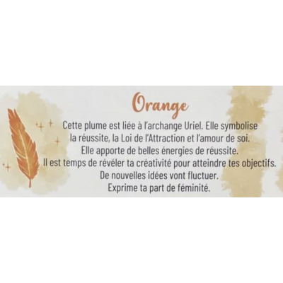 LE PETIT ORACLE DES PLUMES