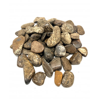 bronzite