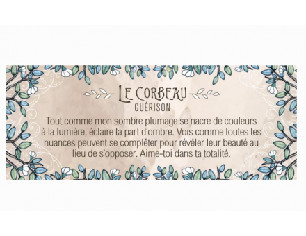 LE PETIT ORACLE DU DRUIDE