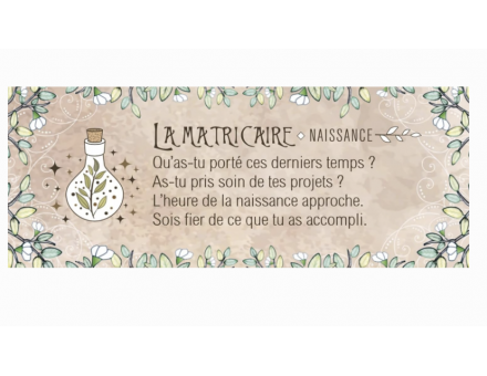 LE PETIT ORACLE DU DRUIDE