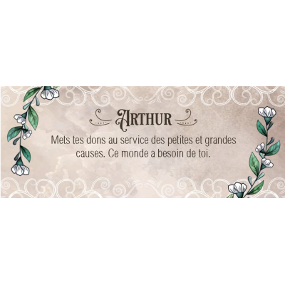 LE PETIT ORACLE DE LA FÉE MORGANE