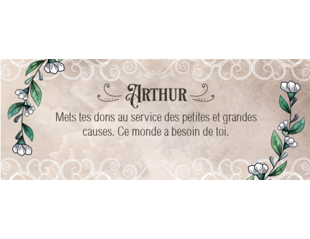 LE PETIT ORACLE DE LA FÉE MORGANE
