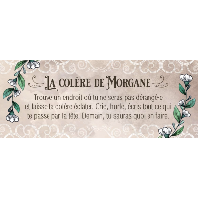 LE PETIT ORACLE DE LA FÉE MORGANE