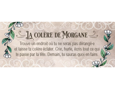 LE PETIT ORACLE DE LA FÉE MORGANE
