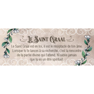 LE PETIT ORACLE DE LA FÉE MORGANE