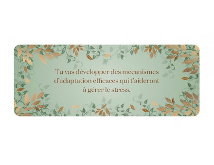 PETIT ORACLE DES MESSAGES BIENVEILLANT