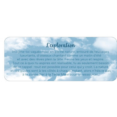 PETIT ORACLE DU TOUT