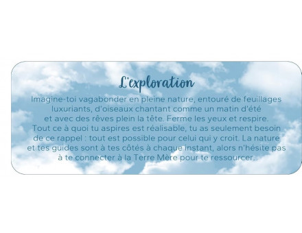 PETIT ORACLE DU TOUT