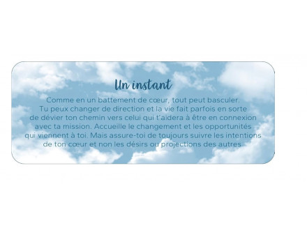 PETIT ORACLE DU TOUT