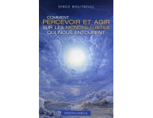 COMMENT PERCEVOIR ET AGIR SUR LES MONDES SUBTILS QUI NOUS ENTOURENT