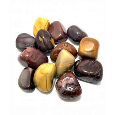 JASPE MOKAITE PM