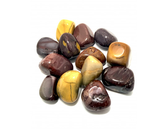 JASPE MOKAITE PM