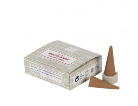 CONE SAUGE BLANCHE