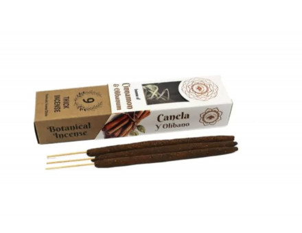 ENCENS BOTANIQUE - CANELLE & OLIBAN