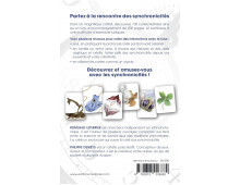 SYNCHRONICITY - JEU ET ORACLE