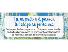 LE PETIT ORACLE DE LA MISSION DE VIE