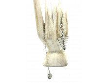PENDULE TEMPOREL
