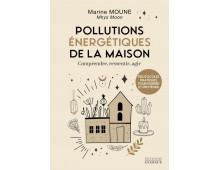 POLLUTIONS ÉNERGÉTIQUES DE LA MAISON