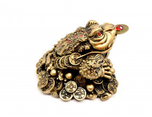 CRAPAUD FORTUNE