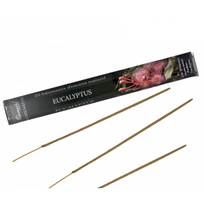 EUCALYPTUS