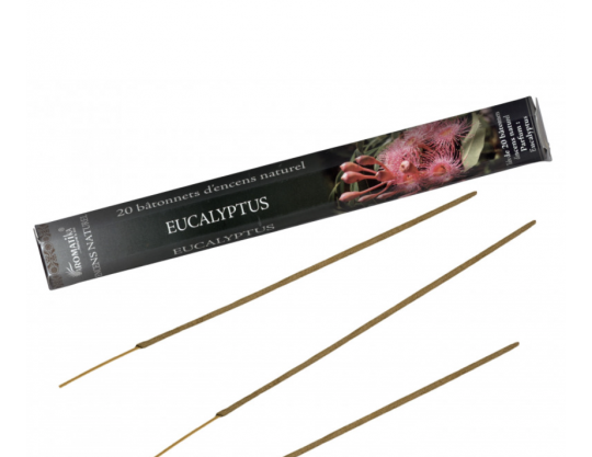 EUCALYPTUS