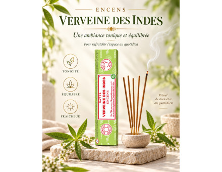 VERVEINE DES INDES