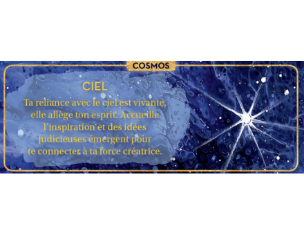 PETIT ORACLE DE L'INTUITION