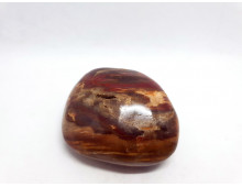 BOIS FOSSILISE GALET GM