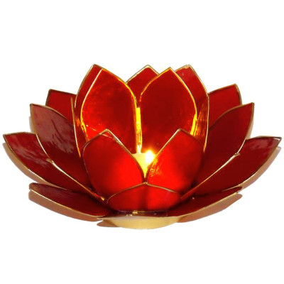 LOTUS CHAKRA GM