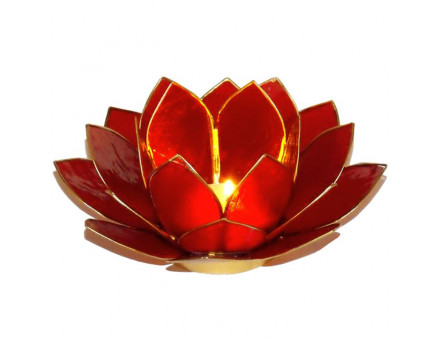 LOTUS CHAKRA GM