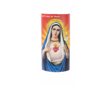 NEUVAINE LES VIERGES SACRE COEUR DE MARIE