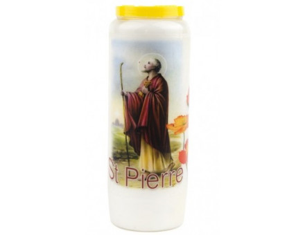 NEUVAINE LES SAINTS SAINT PIERRE