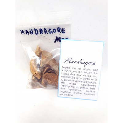 MANDRAGORE