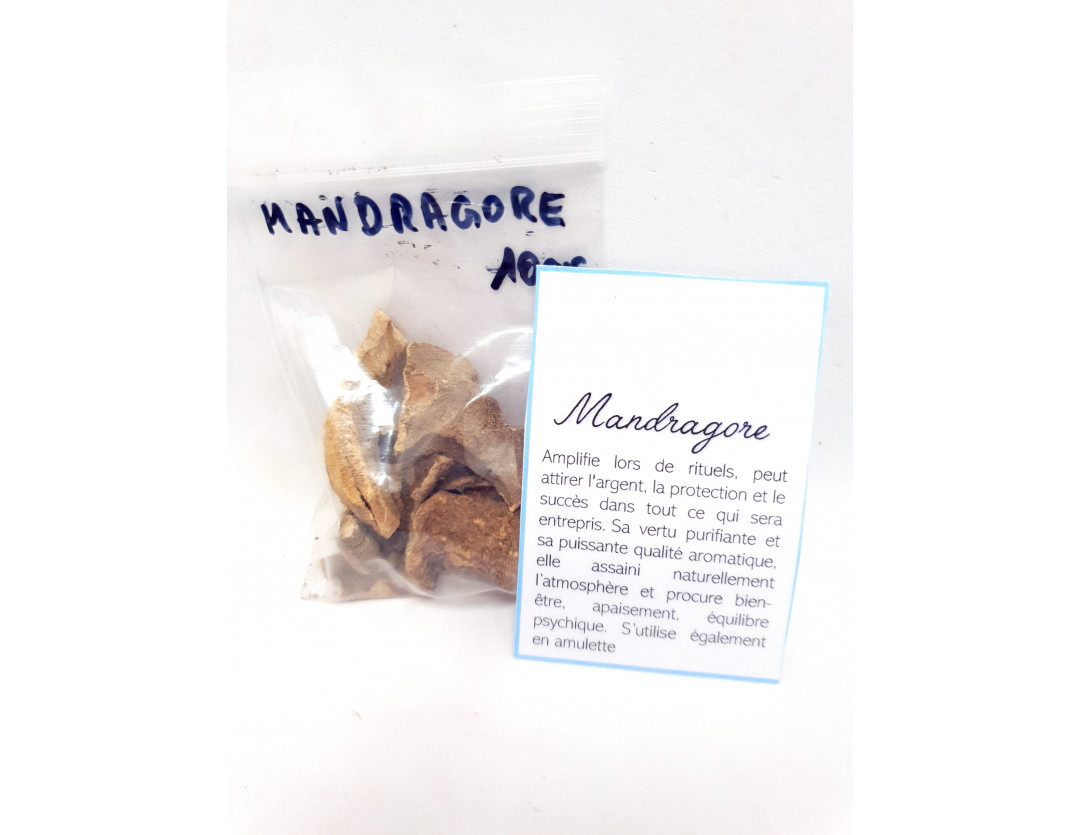 MANDRAGORE