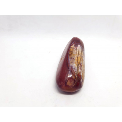 BOIS FOSSILISE GALET GM