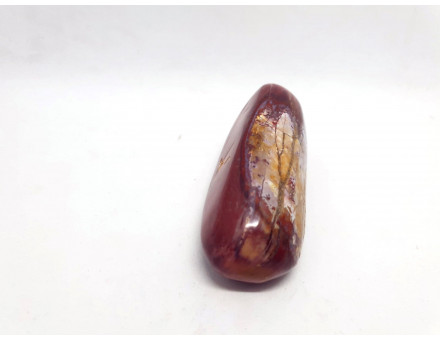 BOIS FOSSILISE GALET GM