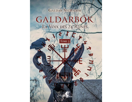 GALDARBOK LA VOIX DES 24 RUNES TOME 3