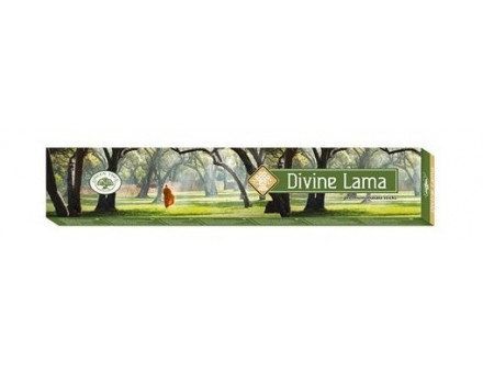 DIVIN LAMA